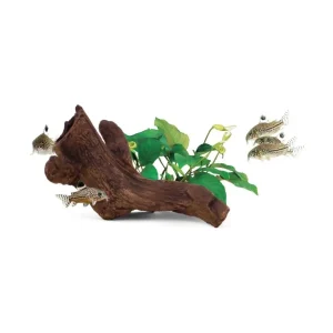 aquavitro Ceramic Hides Aquatic Ornament B2