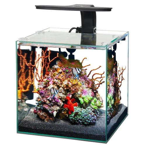 Aqueon Frameless Cube Aquarium 3 - Image 2