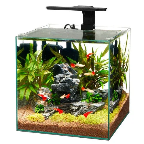 Aqueon Frameless Cube Aquarium 6 - Image 2
