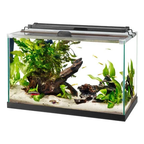 Aqueon Rimless Rectangle Aquarium 10 - Image 2