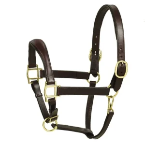 Aramas Mild Raised ZERO Shape Padded Halter Full C