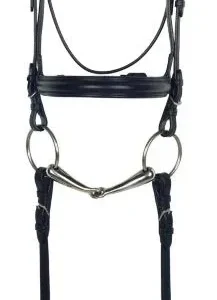 Aramas Plain Raised Padded Dressage Bridle with We