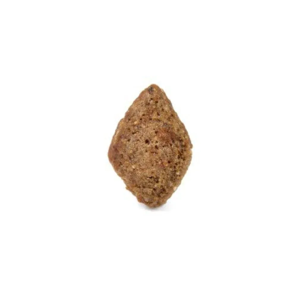 Arden Grange Adult Dog Dry Food | Salmon & Rice - Image 2