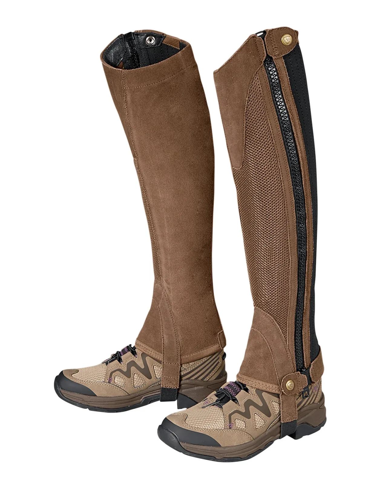 Ariat® Terrain II Half Chap