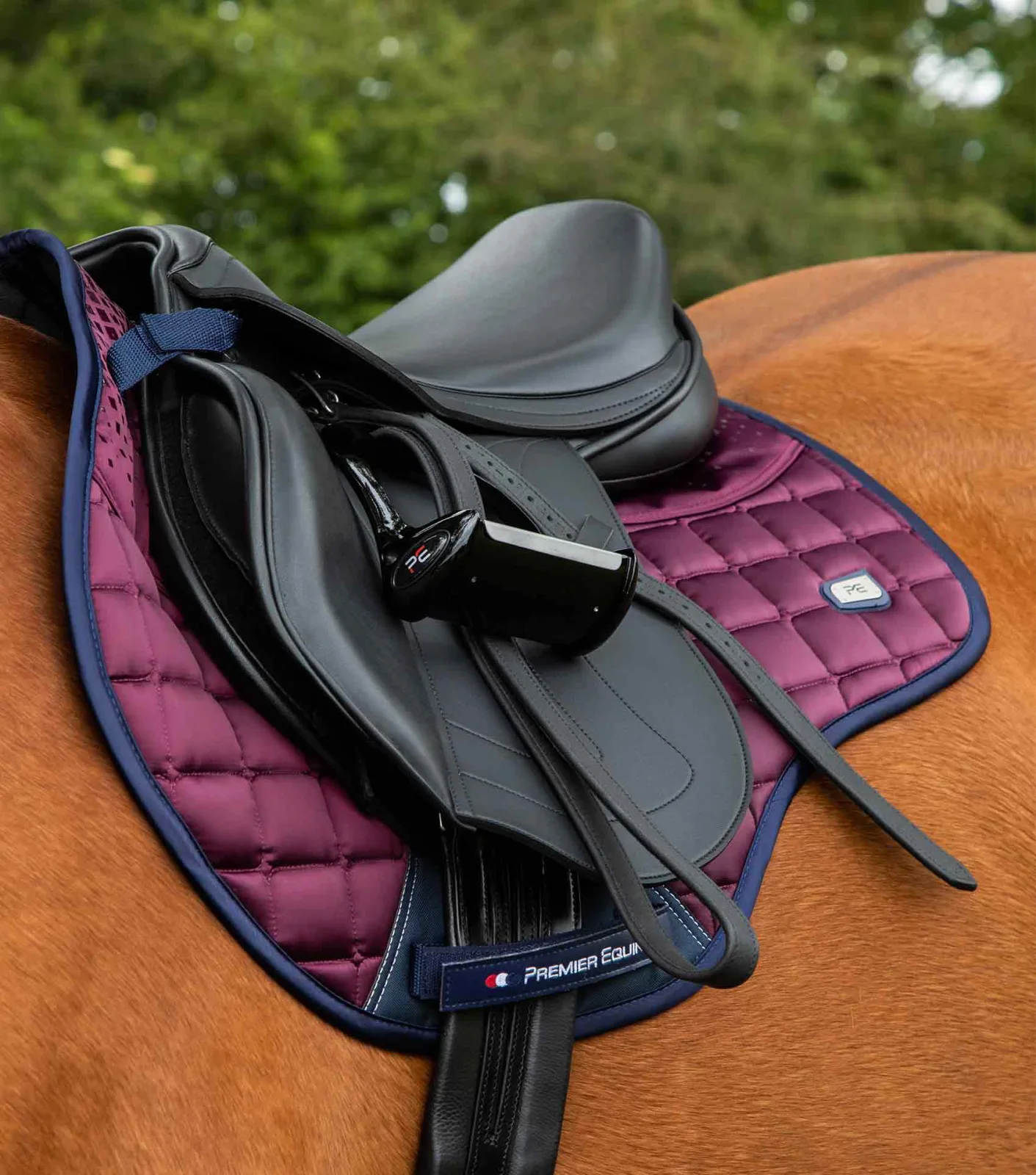 Armada Close Contact GP/Jump Square Wine - Image 2