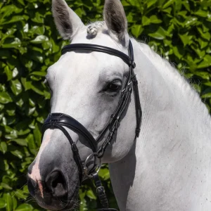Artana Anatomical Snaffle Bridle with Flash Black