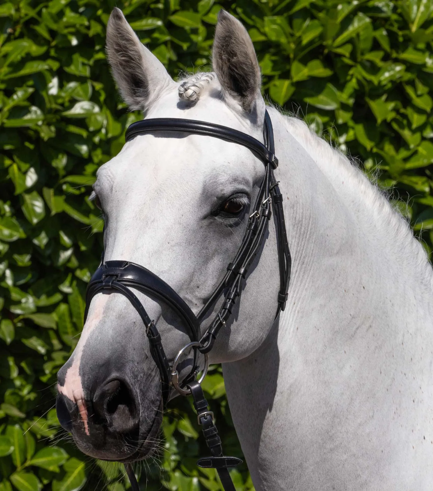 Artana Anatomical Snaffle Bridle with Flash Black