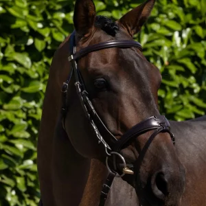 Artana Anatomical Snaffle Bridle with Flash Brown