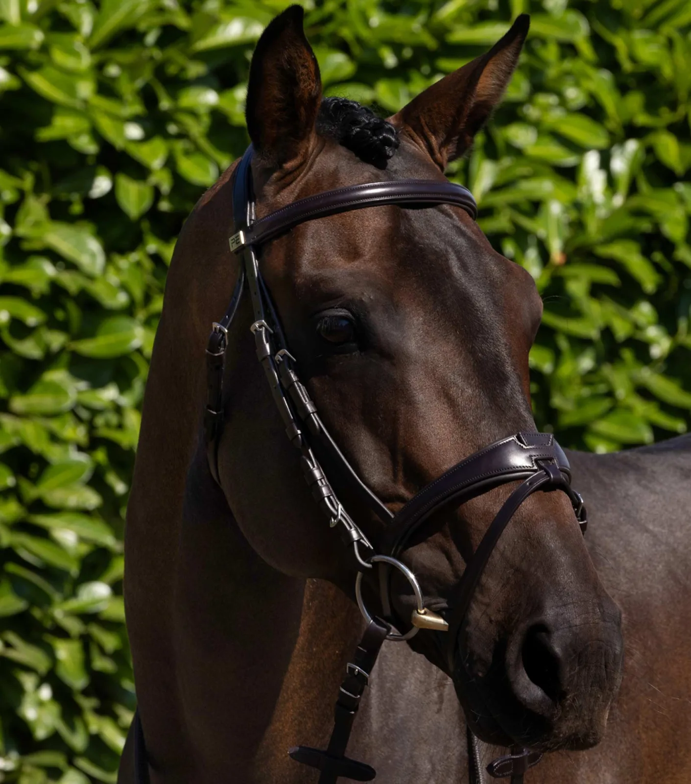 Artana Anatomical Snaffle Bridle with Flash Brown