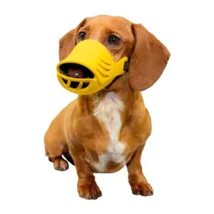 Artero Donald Silicon Muzzle For Dog, Medium