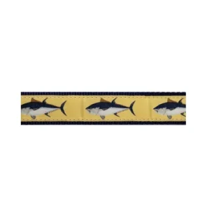 Atlantic Blue Fin Tuna