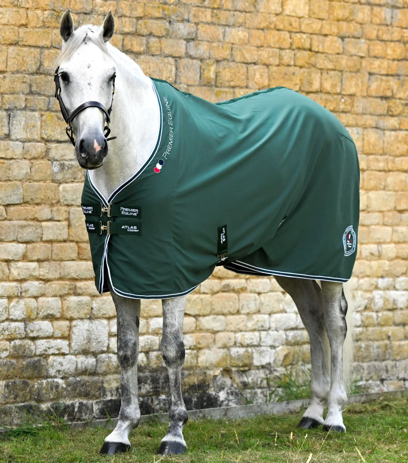 Atlas Horse Cooler Rug Green