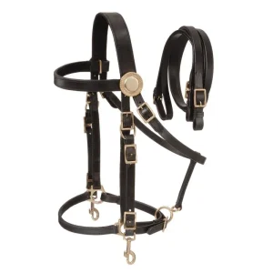 Australian Outrider Deluxe Halter Bridle with Reins