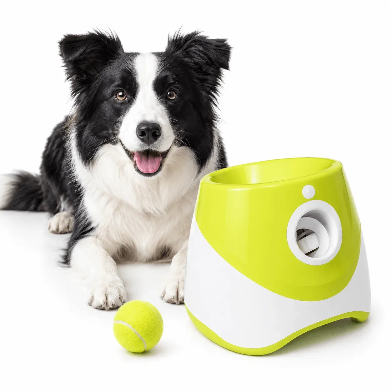 Automatic Dog Ball Launcher with 3 Tennis Balls – Interactive Fetch Toy for Dogs - Image 2