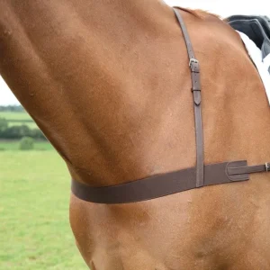 Avignon Elastic Breastgirth