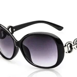 AWST Int'l Sunglasses Snaffle Bit