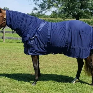 Back on Track Mesh Sheet with Neck Cover