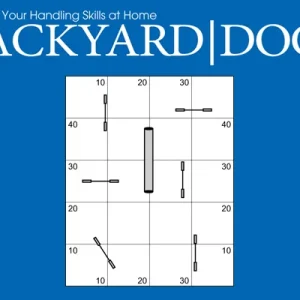 Backyard Dogs Episode 2: Cues for Tunnels