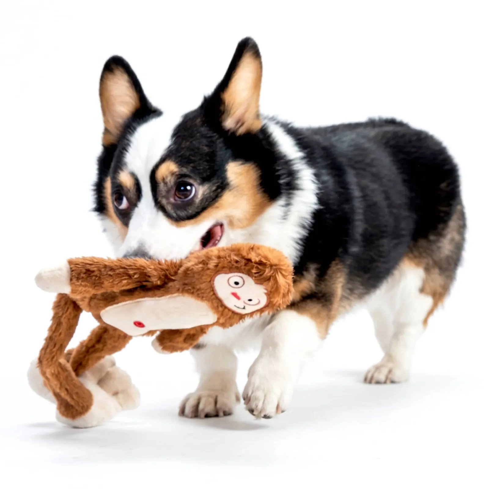 BARK Hairy Henderson brown sasquatch bigfoot Plush Dog Toy ALL sizes - Image 2