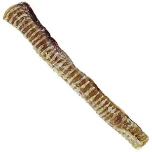 Bark 'N Big USA Beef Trachea