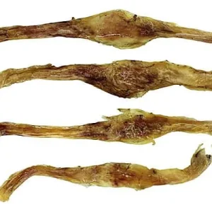 Bark 'N Big USA Bison Large Tendons