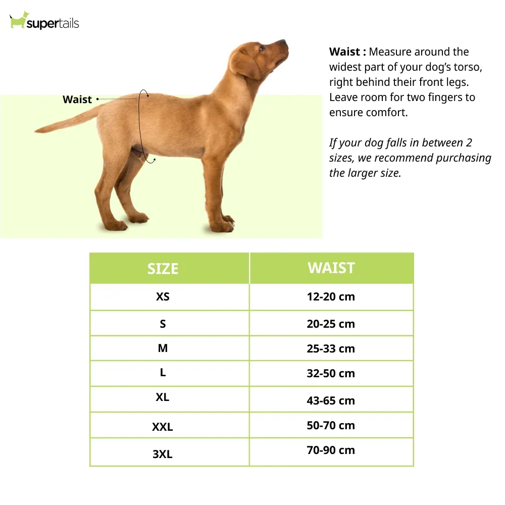 Barkbutler x Fofos Diaper for Female Dogs (32x50cm) - Image 2