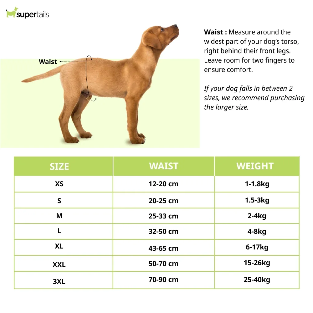 Barkbutler x Fofos Diaper for Male Dog (32x50cm) - Image 2