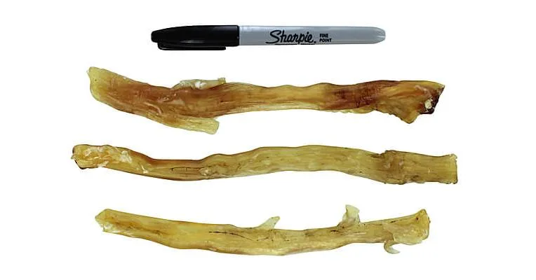 Barking Buddha USA Black Angus Beef Tendons