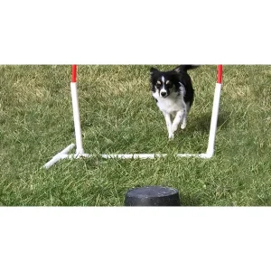 Beginning Distance Training in a Small Space