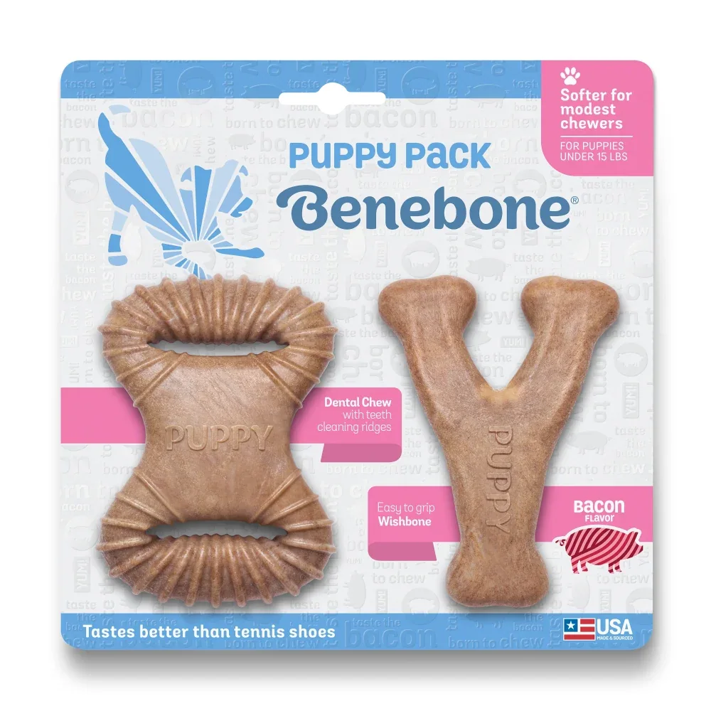 Benebone Bacon Flavored Dental and Wishbone Chew Toys for Puppy