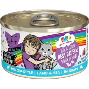 Bff C Best Day Bf Smn 2.8oz{L-x}