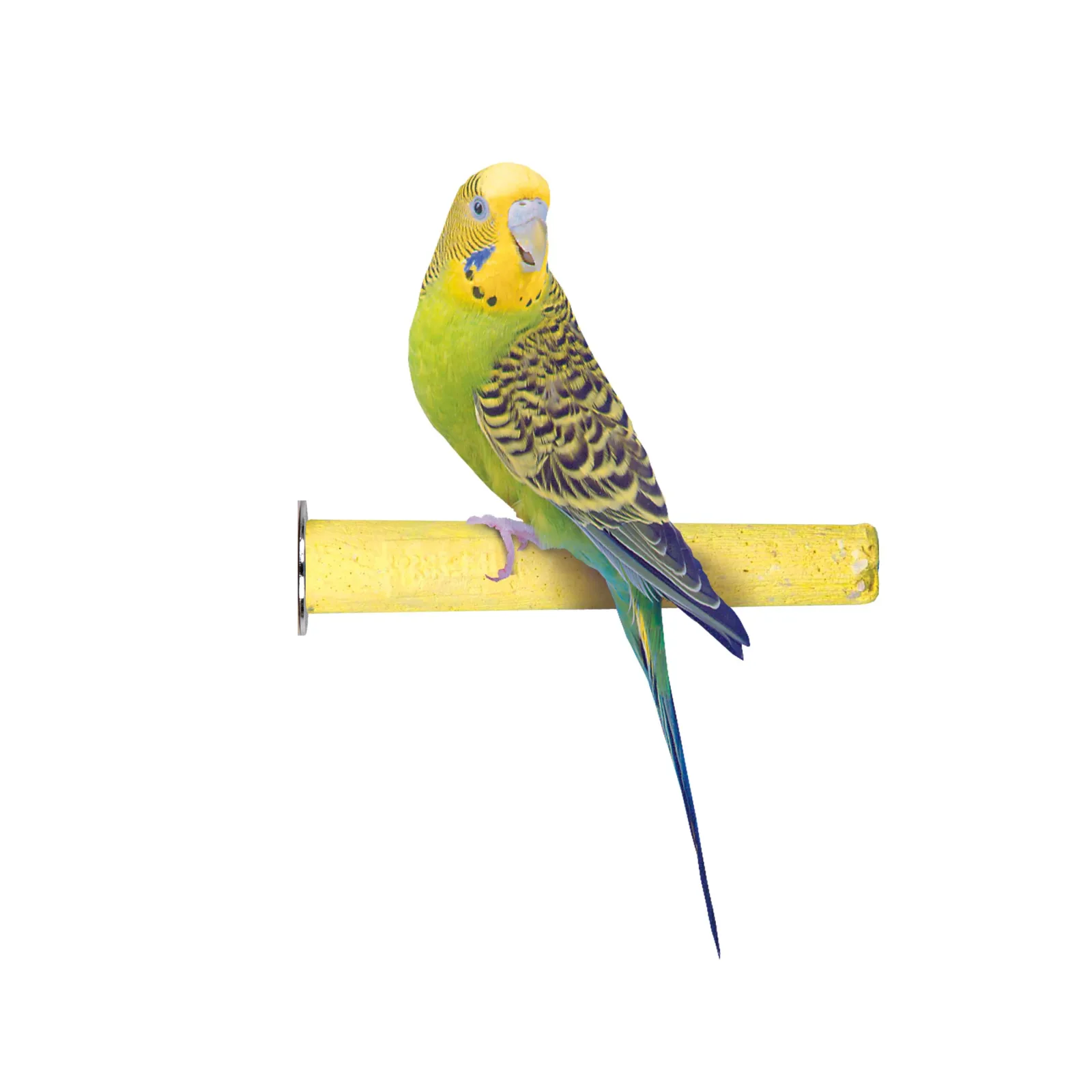 Bird Life™ Trimmer Perch - Small - 6" - Naturally Trims Nails and Beak - Attaches Easily - Yellow - Image 2
