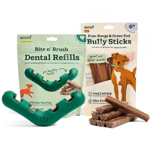 Bite n’ Brush Starter Pack