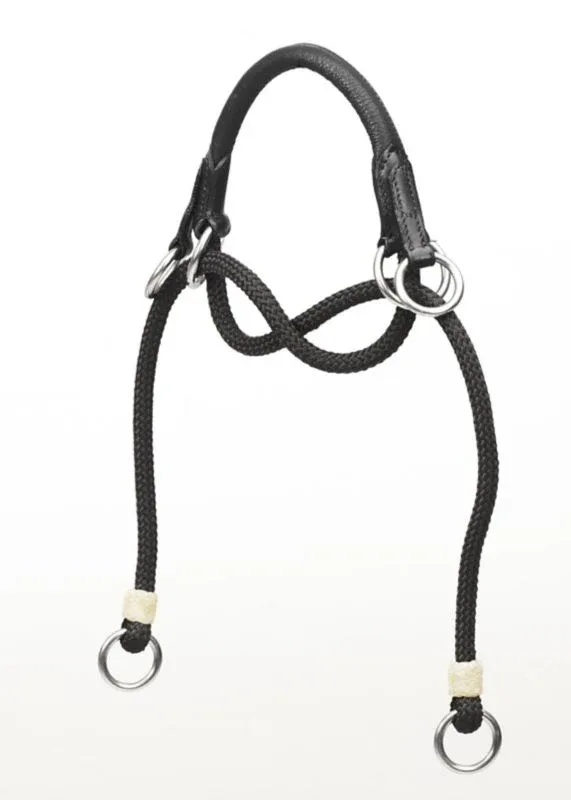 Bitless Noseband
