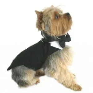 Black Dog Tuxedo With Tails, Bow Tie and Collar