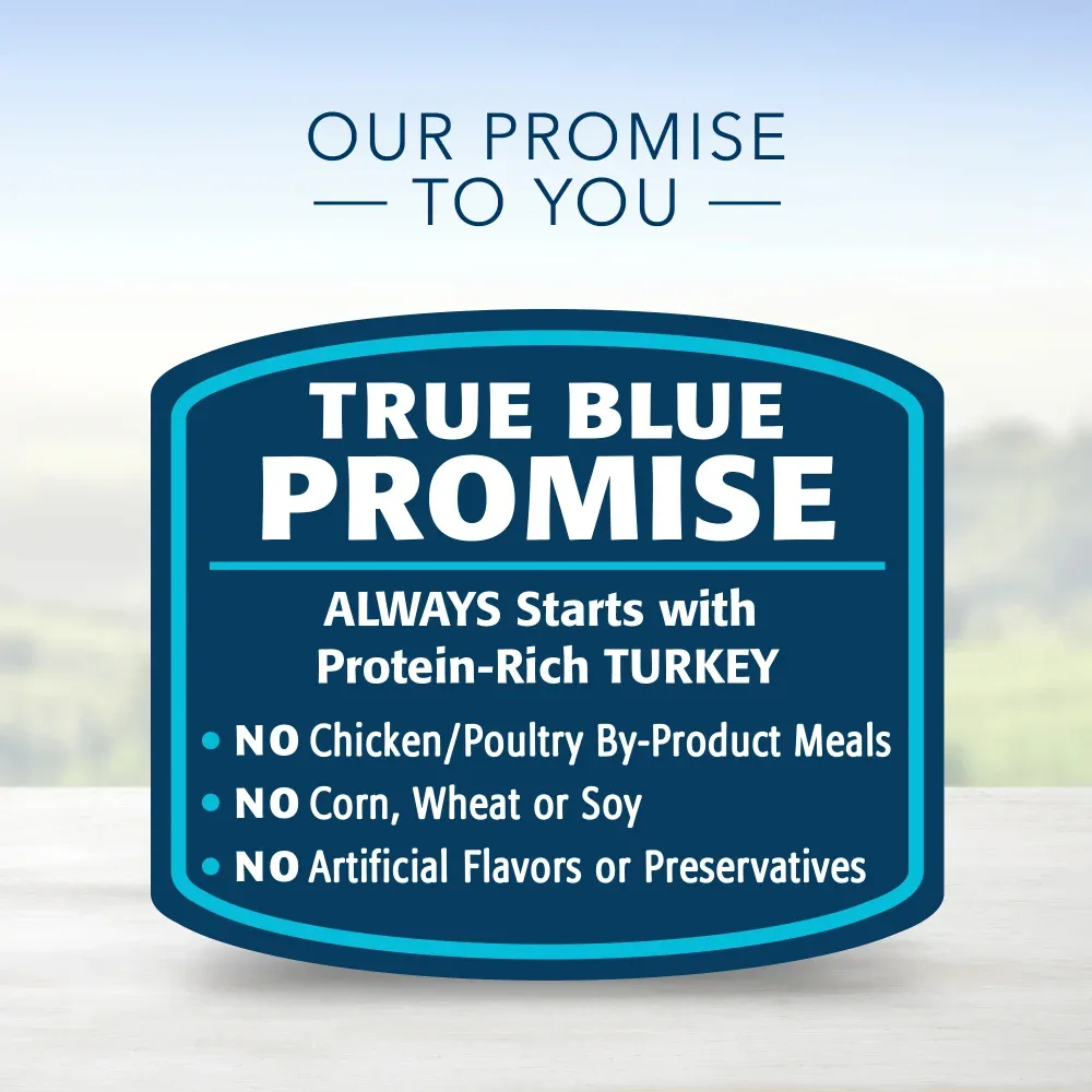Blue Buffalo Blue Delights Small Breed Roasted Turkey Pate Dog Food Cup - Image 2