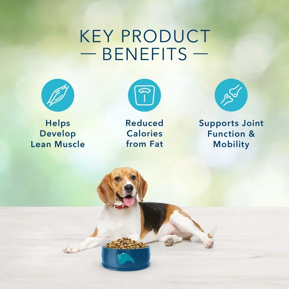 Blue Buffalo Freedom Adult Healthy Weight Chicken Recipe Dry Dog Food - Image 2