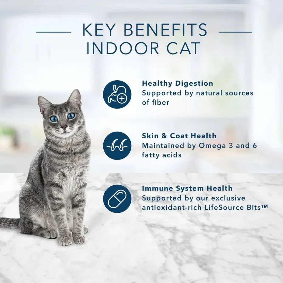 Blue Buffalo Indoor Health Natural Salmon & Brown Rice Adult Dry Cat Food - Image 2