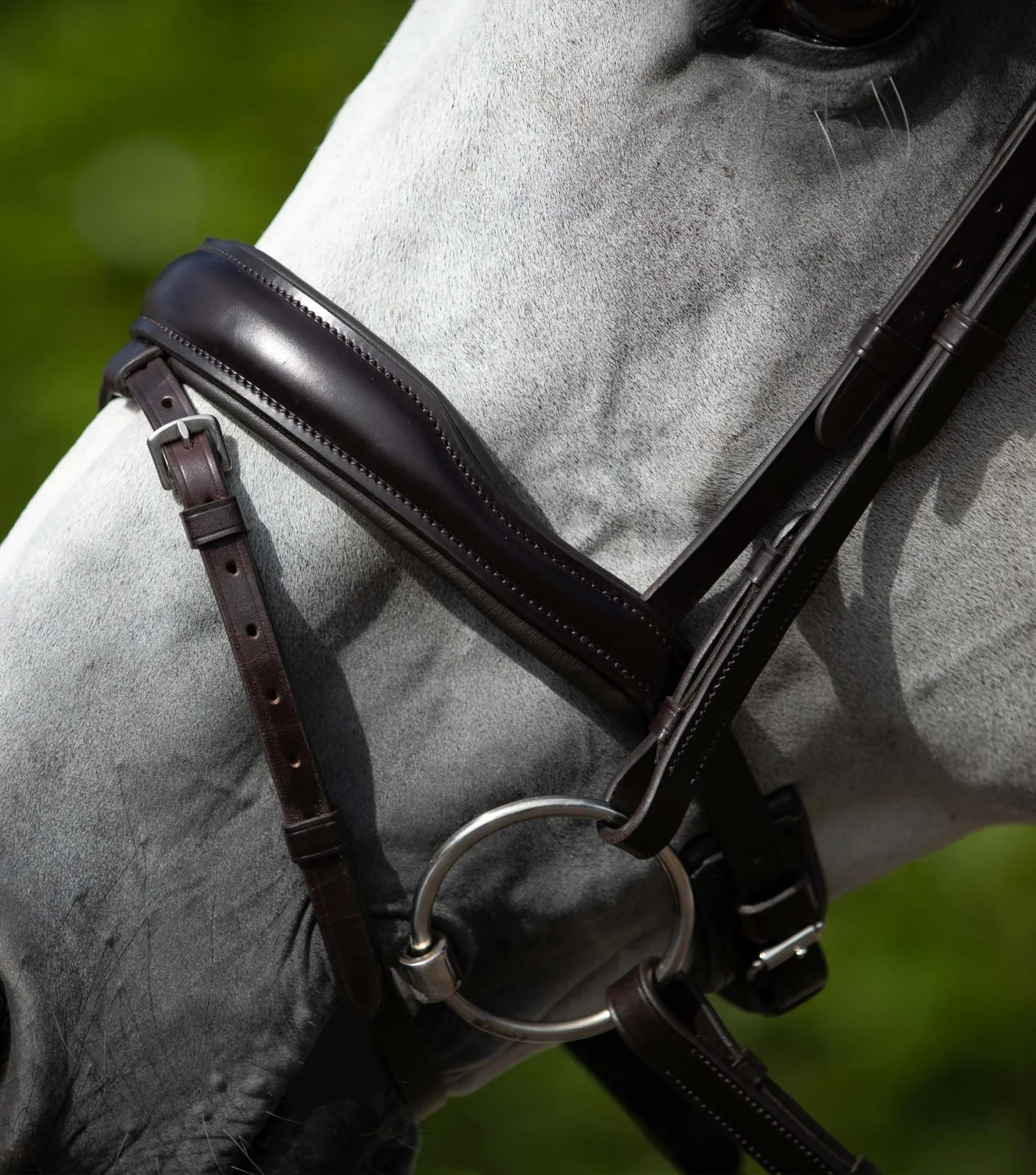 Blue Sweet Iron Loose Ring Mullen Mouth Snaffle - Image 2