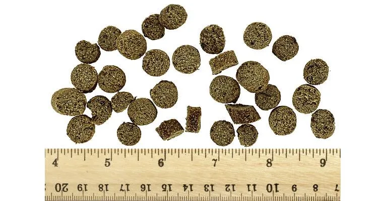 Boo Boo's Best Superfood Nuggets