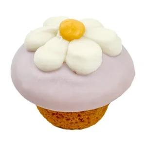 Bosco & Roxy's Cupcake Dog Treat