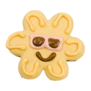 Bosco & Roxy's Summer Pool Pawty Free Sunburns Cookie Dog Treat