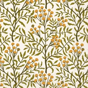 Boston International Inc Autumn Acorn Tansy Cocktail Napkins