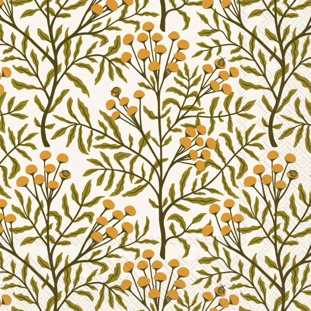 Boston International Inc Autumn Acorn Tansy Cocktail Napkins