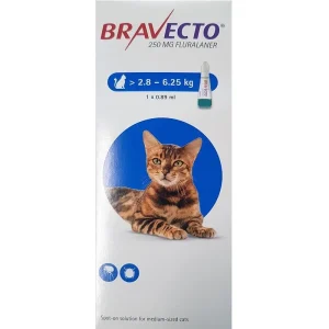 Bravecto Topical For Cats 6-14 lbs (2.8-6.25 kg)