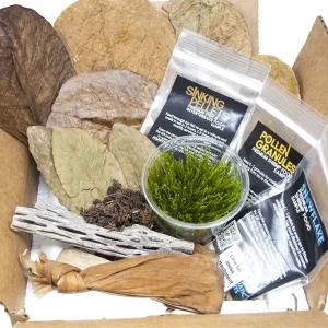 Bred By Aquatic Arts Planted Neocaridina Shrimp Combo Box (Neocaridina davidi)