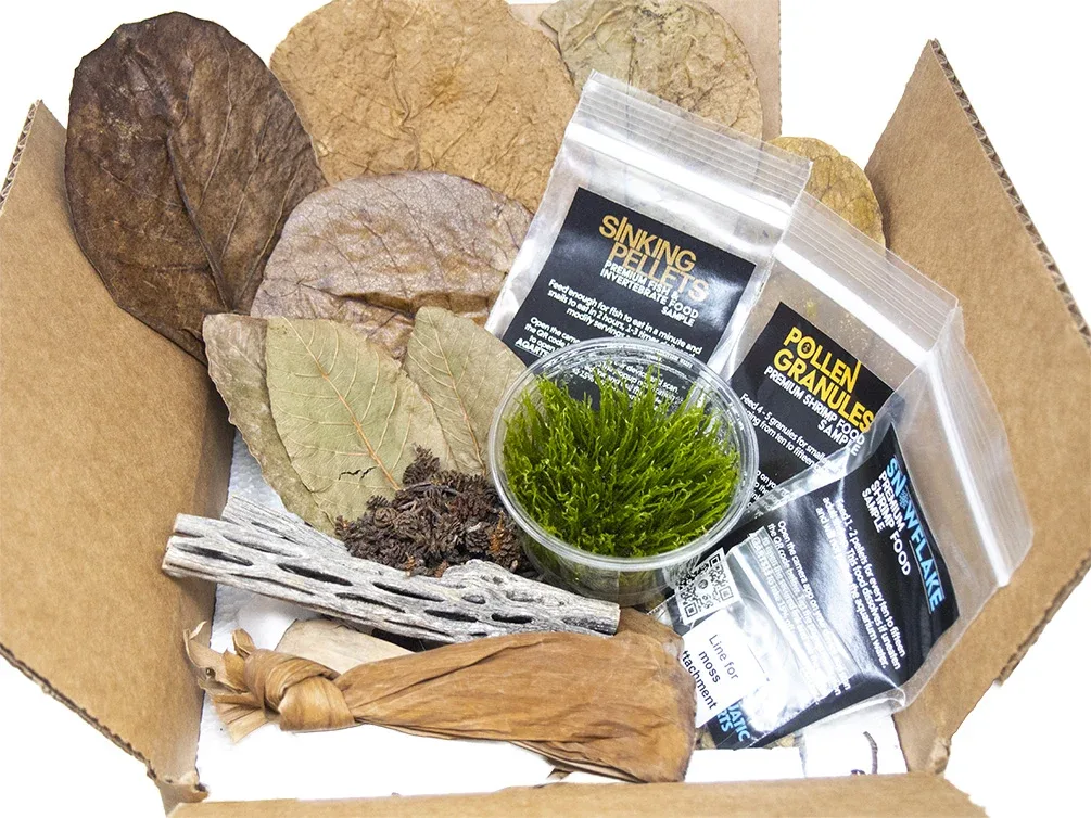 Bred By Aquatic Arts Planted Neocaridina Shrimp Combo Box (Neocaridina davidi)