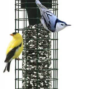 Brome Squirrel Solution 150 Wild Bird Feeder
