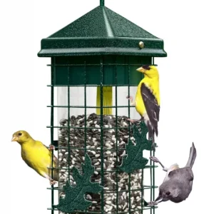 Brome Squirrel Solution 200 Wild Bird Feeder