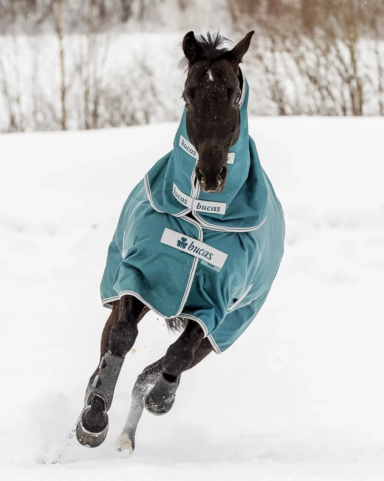 Bucas Atlantic 400 Gram Turnout Blanket - Image 2